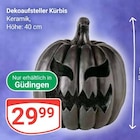 GLOBUS - Dekoaufsteller Kürbis Angebot im Prospekt Dekoaufsteller Kürbis bei GLOBUS im Prospekt "" für 29,99 €