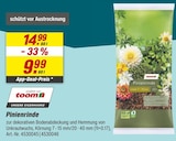 toom Baumarkt Neustadt - Pinienrinde Angebot im Prospekt Pinienrinde bei toom Baumarkt im Neustadt Prospekt für 9,99 €