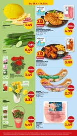 Steine im Penny Prospekt in Bergheim Aktueller Penny Prospekt mit Steine, "Wer günstig will, muss Penny.", Seite 32