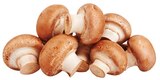 Braune Bio Champignons Angebote von REWE Bio bei REWE Pforzheim für 1,79 €