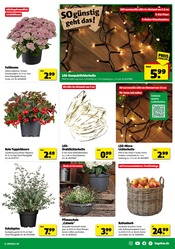 Aktueller Hagebaumarkt Prospekt mit Blumentopf, "SO günstig geht das!", Seite 19