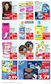 Aktueller Kaufland Prospekt mit Steine, "Aktuelle Angebote", Seite 29