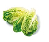 Mini Romana für 0,95 € bei Netto mit dem Scottie im Angebot Mini Romana im aktuellen Netto mit dem Scottie Prospekt