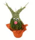 Heidewichtel im Angebot bei toom Baumarkt in Lüneburg Heidewichtel Angebote bei toom Baumarkt Lüneburg für 6,99 €
