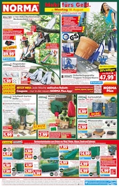 Aktueller Norma Prospekt mit Gartenbank, "Mehr fürs Geld", Seite 1