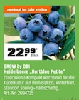Heidelbeere „Hortblue Petite“ von GROW by OBI im aktuellen OBI Prospekt für 22,99 €