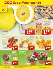 Aktueller Netto Marken-Discount Prospekt mit Pflanzen, "Aktuelle Angebote", Seite 30