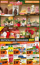 Rindfleisch im Norma Prospekt in Bad Kreuznach Aktueller Norma Prospekt mit Rindfleisch, "Mehr fürs Geld", Seite 12