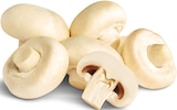 Penny Bentwisch - Deutsche Riesenchampignons Angebot im Prospekt Deutsche Riesenchampignons bei Penny im Bentwisch Prospekt für 1,79 €