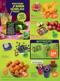 tegut Blaubeeren im Prospekt 