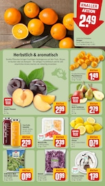 Ähnliche Kaninchen Angebote im Prospekt "Dein Markt" von REWE in Darmstadt Ähnliche Angebote wie Kaninchen im Prospekt "Dein Markt" auf Seite 8 von REWE in Darmstadt