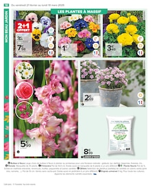 Promo Serre De Jardin dans le catalogue Carrefour du moment à la page 12