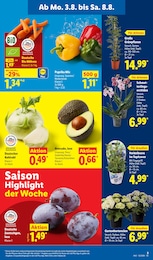 Garten im Lidl Prospekt LIDL LOHNT SICH auf S. 3