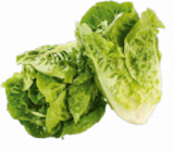Aktuelles Mini-Romana Salat Angebot bei Netto Marken-Discount in Mannheim ab 1,00 €