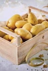 Promo Pomme de terre de consommation à chair ferme Intermarché Terroirs à 1,59 € dans le catalogue Intermarché Express à Antibes