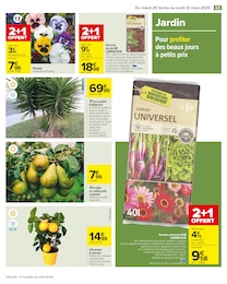 Offre Arbre Fruitier dans le catalogue Carrefour du moment à la page 65