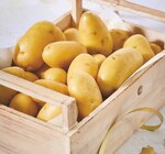 Promo Pommes de Terre de Consommation Intermarché Terroirs à 1,49 € dans le catalogue Intermarché Hyper à Aubenas