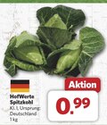 Spitzkohl bei combi im Meschede Prospekt für 0,99 €