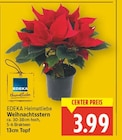 Weihnachtsstern im E center Prospekt Weihnachtsstern von EDEKA Heimatliebe im aktuellen E center Prospekt für 3,99 €