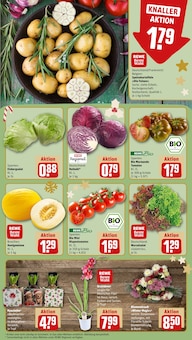 Orchidee im aktuellen REWE Prospekt (Stuttgart) Orchidee im REWE Prospekt "Dein Markt" mit 24 Seiten (Stuttgart)