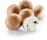 Champignon braun bei Netto Marken-Discount im Gehrden Prospekt für 1,79 €
