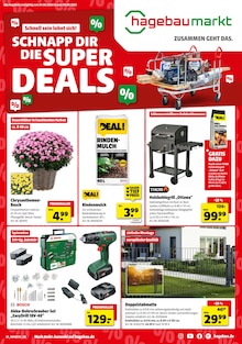 Aktueller Hagebaumarkt Prospekt "SCHNAPP DIR DIE SUPER DEALS" Aktueller Hagebaumarkt Prospekt