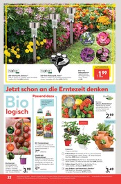 Balkonpflanzen Angebote im Prospekt "Die Profi-Baumärkte" von Hellweg auf Seite 22