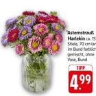 Asternstrauß Harlekin im Angebot bei E center in Heilbronn Asternstrauß Harlekin Angebote bei E center Heilbronn für 4,99 €