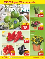 Aktueller Netto Marken-Discount Prospekt mit Balkonpflanzen, "Aktuelle Angebote", Seite 52