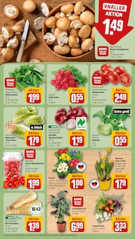 Blumen im aktuellen REWE Prospekt (Kassel) Blumen im REWE Prospekt "Dein Markt" mit 24 Seiten (Kassel)