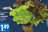 Multicolorsalat bei EDEKA im Köln Prospekt für 1,49 €