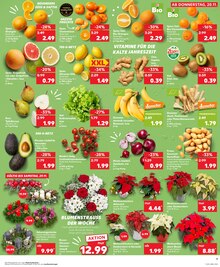 Bananen im aktuellen Kaufland Prospekt (Erlangen) Bananen im Kaufland Prospekt "Aktuelle Angebote" mit 28 Seiten (Erlangen)