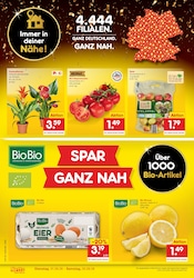 Gemüse im Netto Marken-Discount Prospekt in Bonn Aktueller Netto Marken-Discount Prospekt mit Gemüse, "Neueröffnung - 10% auf ALLES", Seite 2