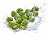 Kiwi-Beeren im Angebot bei Netto Marken-Discount in Dresden Kiwi-Beeren Angebote von NERGI bei Netto Marken-Discount Dresden für 1,79 €