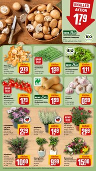 Kürbis im aktuellen REWE Prospekt (Frankfurt (Main)) Kürbis im REWE Prospekt "Dein Markt" mit 24 Seiten (Frankfurt (Main))