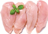 Frische Hähnchenbrustfilets im Angebot bei Netto mit dem Scottie in Potsdam Frische Hähnchenbrustfilets Angebote von Meine Fleischerei bei Netto mit dem Scottie Potsdam für 4,99 €