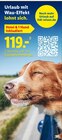Hotel & 1 Hund inkludiert im Angebot bei Lidl in Bochum Hotel & 1 Hund inkludiert Angebote bei Lidl Bochum für 119,00 €