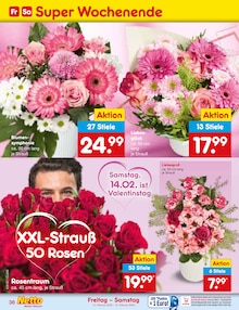 Blumen im Netto Marken-Discount Prospekt "Aktuelle Angebote" mit 58 Seiten (Magdeburg)