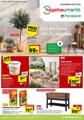 Aktueller Hagebaumarkt Baumärkte Prospekt in Gaildorf und Umgebung, "LASS DEN SÜDEN BEI DIR EINZIEHEN" mit 16 Seiten, 18.04.2026 - 25.04.2026