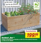 Hochbeet "Bea" im aktuellen toom Baumarkt Prospekt für 199,99 €