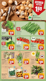 Gartenmöbel im REWE Prospekt "Dein Markt" mit 30 Seiten (Siegen (Universitätsstadt))