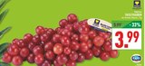 Marktkauf Marsberg - Tafeltrauben Angebot im Prospekt Tafeltrauben bei Marktkauf im Marsberg Prospekt für 3,99 €