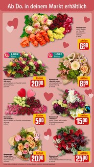 Pflanzen im REWE Prospekt "Dein Markt" mit 32 Seiten (Potsdam)