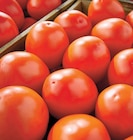 Tomate Allongée dans le catalogue Netto
