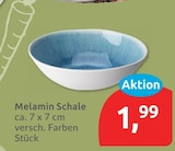 Melamin Schale für 1,99 € bei budni im Angebot Melamin Schale im aktuellen budni Prospekt