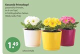 Keramik-Primeltopf von  im aktuellen V-Markt Prospekt für 1,49 €