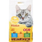 Croquettes pour chats adultes - CARREFOUR COMPANINO VITALIVE en promo chez Carrefour Croquettes pour chats adultes - CARREFOUR COMPANINO VITALIVE dans le catalogue Carrefour
