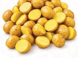 Aktuelle Kartoffeln Angebote bei Netto mit dem Scottie in Potsdam Aktuelles Airfryer Speisekartoffeln Drillinge Angebot bei Netto mit dem Scottie in Potsdam ab 1,29 €