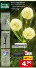 Solar Deko Stecker von Living & Garden im aktuellen Netto Marken-Discount Prospekt für 4,99 €