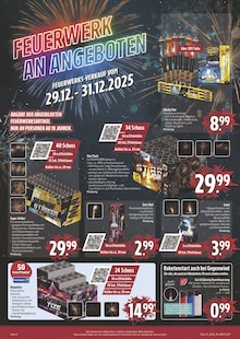 Feuerwerk im E center Prospekt "Wir lieben Lebensmittel!" mit 28 Seiten (Nürnberg)